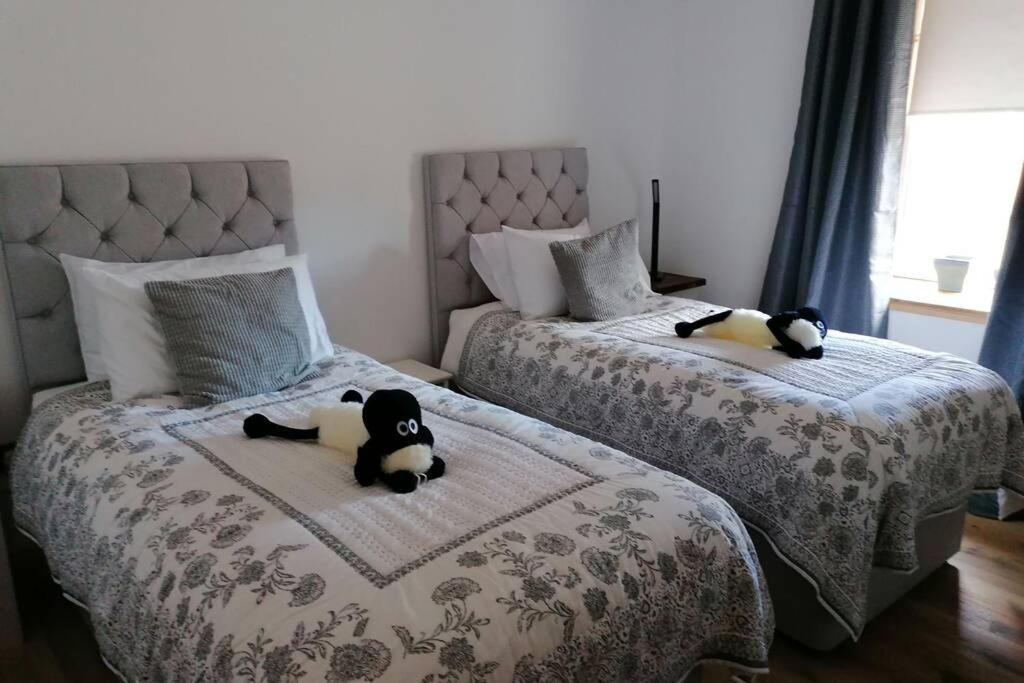 The Apartment In Aberlour Exteriör bild